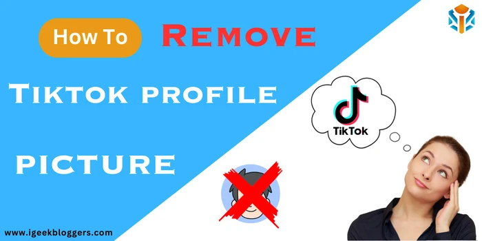 How To Remove Tiktok Profile Picture